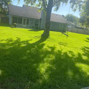 turf care by Forever Green FG LLC reviewed on December 24, 2023