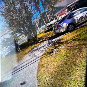 Leaf Removal by Arts Landscaping &amp; Maintenance reviewed on September 17, 2025