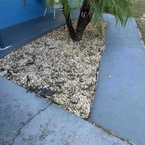 Flower Bed Weeding by Bigdogs Property Maintenance reviewed on August 15, 2025