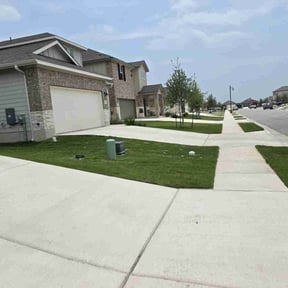 yard care by Lead the Way Lawncare LLC reviewed on August 16, 2025