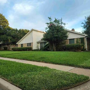Bush Trimming by King's Kustom Lawn Services reviewed on June 25, 2026