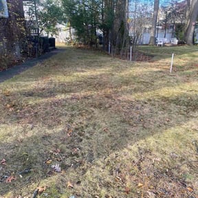 Leaf Removal by D&amp;D Landscaping reviewed on November 19, 2025