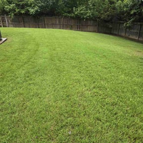 grass cutting by Lomax Lawns reviewed on August 16, 2025