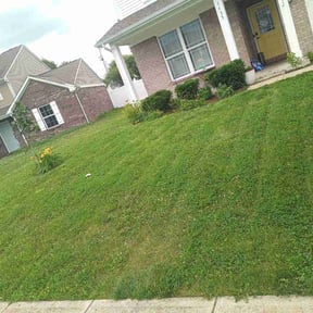 Flower Bed Weeding by Great cut lawn care reviewed on June 20, 2026