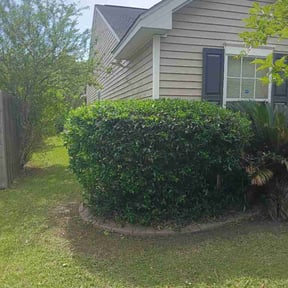 Bush Trimming by HaydenHill Lawncare LLC reviewed on May 4, 2026