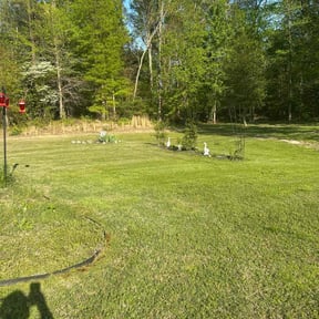 lawn service by Westveld Mowing reviewed on October 6, 2023