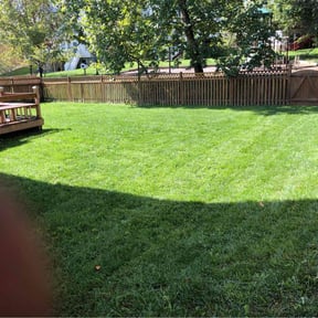 yard service by Dan's Lawn &amp; Landscaping reviewed on December 1, 2025