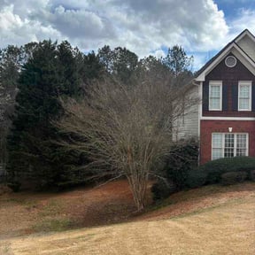 Bush Trimming by Wilson &amp; Son Lawn Care reviewed on March 12, 2026