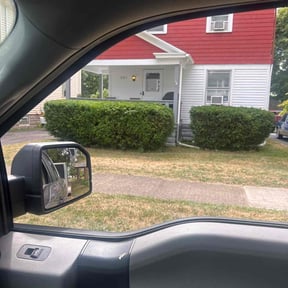 Bush Trimming by P&amp;D Landscaping reviewed on November 27, 2025