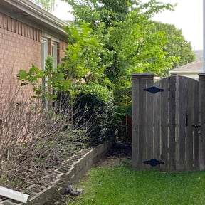 Bush Trimming by Geezs Lawn Care reviewed on August 14, 2025
