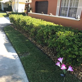 Bush Trimming by 3DM reviewed on May 3, 2024