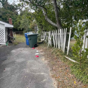 Bush Trimming by Get her done lawn service reviewed on December 3, 2025