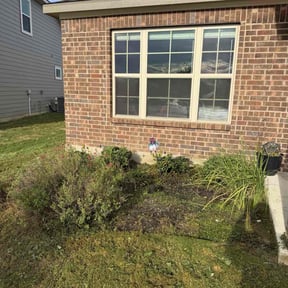 Flower Bed Weeding by Go Green Lawn Services reviewed on February 15, 2026
