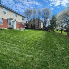 yard maintenance by Phil's Lawn Care reviewed on December 2, 2025