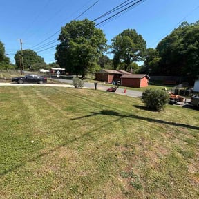 Bush Trimming by Michelle's Lawn Care reviewed on June 11, 2020