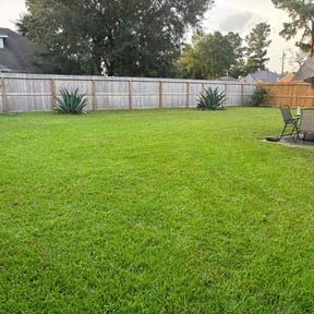 landscape maintenance by Revival Landscaping Pittsburgh reviewed on August 16, 2025