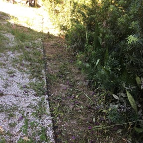 Bush Trimming by square yard reviewed on August 18, 2025