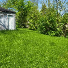 gardening service by N.A.L Landscaping and Services LLC reviewed on August 20, 2025