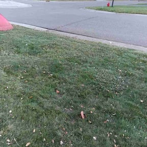 Leaf Removal by J&amp;R’s Lawn Service and Snow Plowing reviewed on November 18, 2025