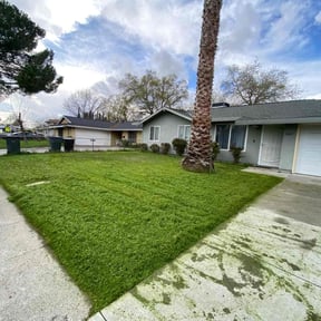 landscaping by Diego Mojica Lawn Care reviewed on August 19, 2025