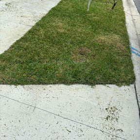 grass cutting by Wilson’s Works reviewed on October 4, 2023