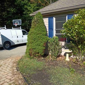 Bush Trimming by Jay&#039;s Resource reviewed on October 21, 2025