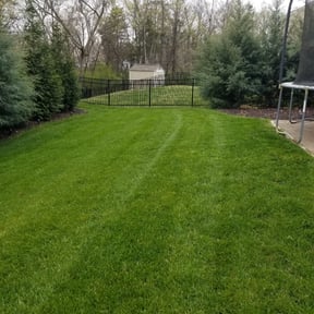 landscaping by Green T's Lawn &amp; Landscape reviewed on November 30, 2025