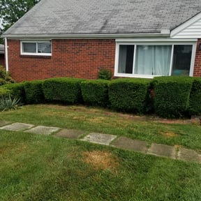 Bush Trimming by Ultimate Landscape Contractor reviewed on August 14, 2025