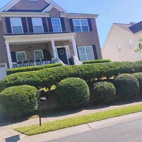 Bush Trimming by Clean Cuts Lawn Service &amp; Design reviewed on November 8, 2025