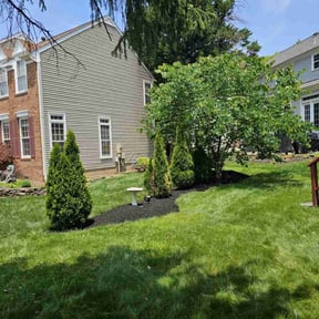 Mulching by  reviewed on December 24, 2025