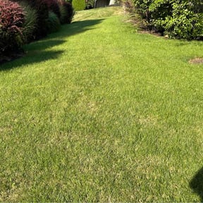 yard care by Clover construction LLC reviewed on December 11, 2025