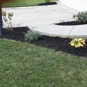 Flower Bed Weeding by T.R. Integrated Services reviewed on August 17, 2025
