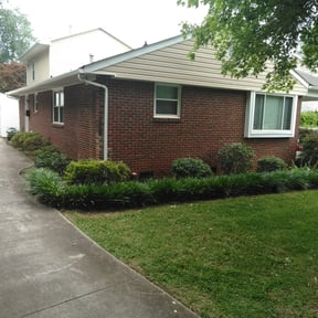 Bush Trimming by The Green Guys reviewed on May 22, 2025