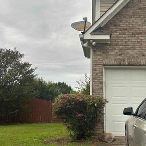 Bush Trimming by Earthworks Landscaping reviewed on November 21, 2025