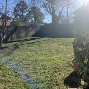 Leaf Removal by Bros Lawn service reviewed on July 28, 2026