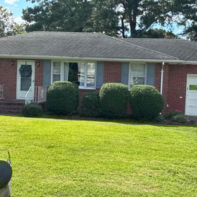 Bush Trimming by Absolute Services LLC reviewed on October 20, 2025