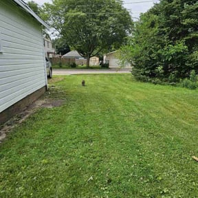 turf care by YardPro reviewed on May 3, 2025