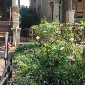 Bush Trimming by Parrish Lawn Care reviewed on August 15, 2025