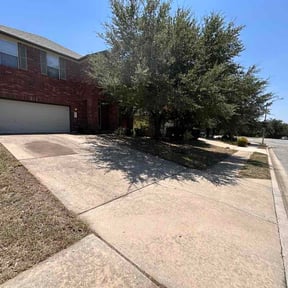 Leaf Removal by More than grass reviewed on August 18, 2026