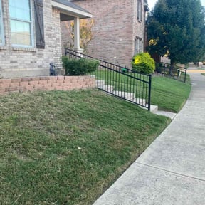 Bush Trimming by A&M reviewed on August 16, 2025