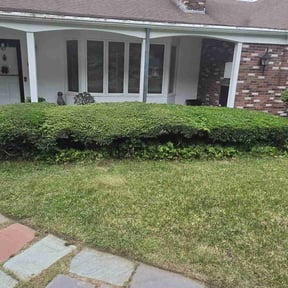 Bush Trimming by Smith's Services reviewed on August 15, 2025