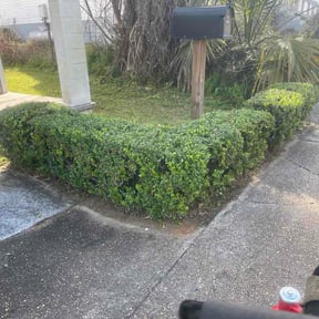 Bush Trimming by The Yard Heroes Landscaping &amp; Lawn services reviewed on February 27, 2026
