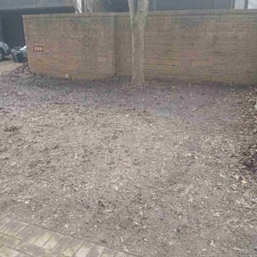 Leaf Removal by Just Hedges reviewed on June 26, 2026