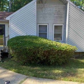 Bush Trimming by Willie Lawn Care and More LLC reviewed on August 17, 2025