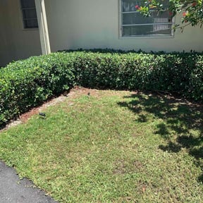 Bush Trimming by K&D property worx reviewed on August 15, 2025