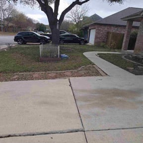 Leaf Removal by 11 lawns reviewed on March 6, 2026