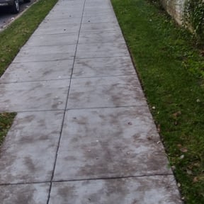 Leaf Removal by Grass stains 4 life lawn care, landscaping, snow removal, LLC reviewed on June 19, 2025