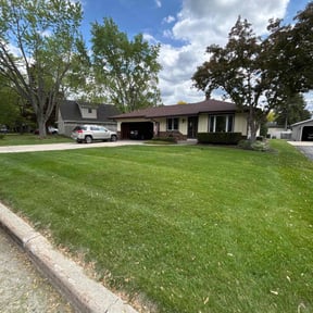 landscaping by Value Cutz and Landscaping reviewed on August 15, 2025