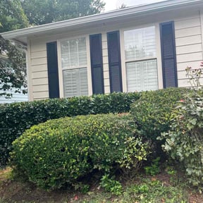 Bush Trimming by The lawn Service,LLC reviewed on October 18, 2025