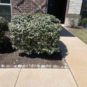 Bush Trimming by Man & Mower reviewed on August 19, 2025